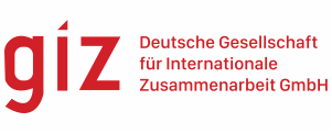 giz logo
